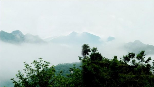 内乡县旅游景点有哪些好玩的地方