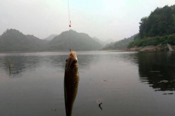 在东南风天气下钓鱼是否容易