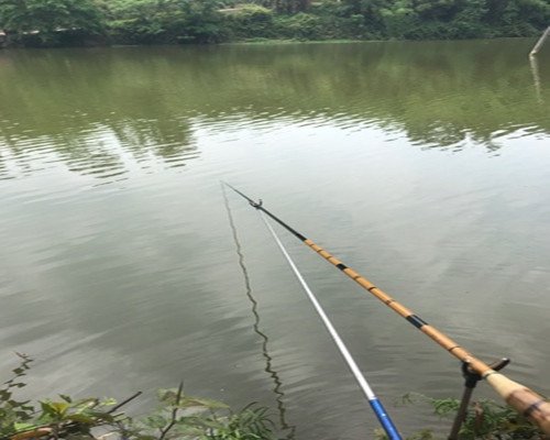 5月份钓鱼钓深水还是浅水