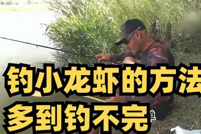 小龙虾用什么钓最好 钓小龙虾鱼技巧大曝光