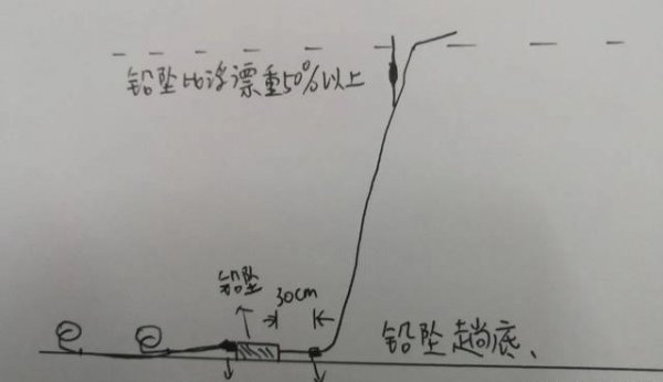 图解演示滑铅钓法，效率提升两倍