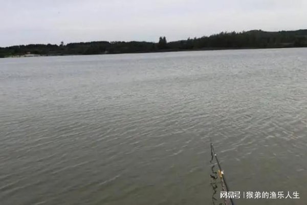 东北风天气适合钓鱼吗