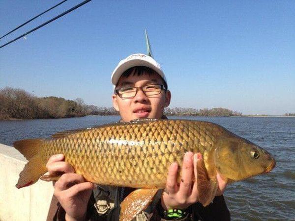 鲤鱼应该是钓底还是钓离底