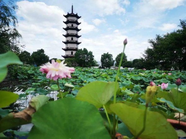 金华有什么好玩的地方旅游景点