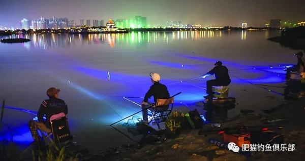 秋季夜钓鲤鱼技巧和方法