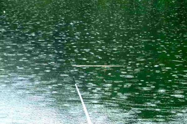 雨后多久钓鱼最佳