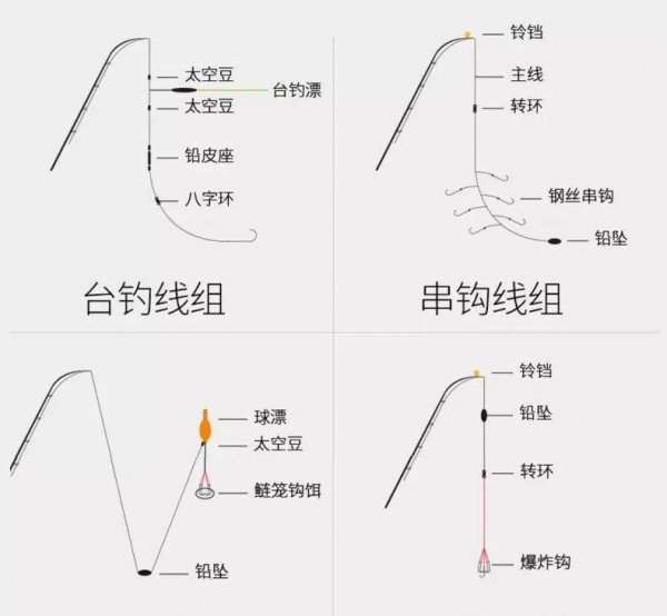 1.2主线0.8子线能钓多大鱼