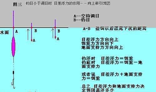 钓罗非鱼调漂的正确方法