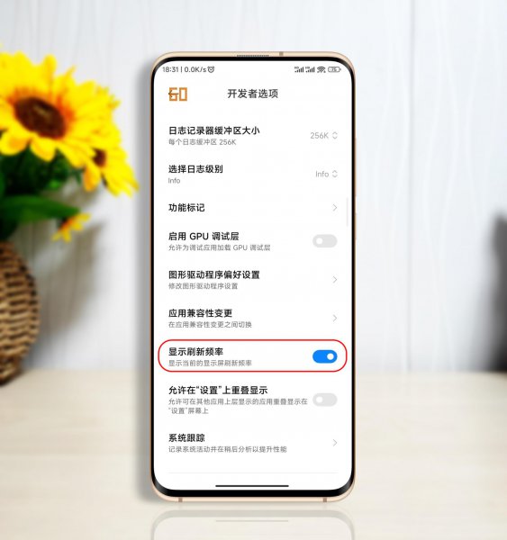 miui13开发者模式怎么打开