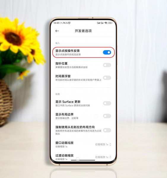 miui13开发者模式怎么打开