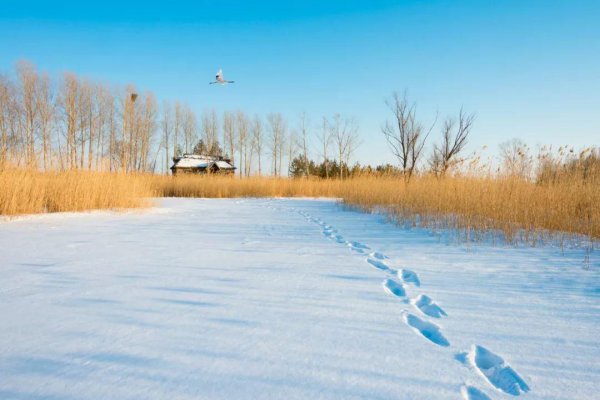 赞美冬天雪景的诗句