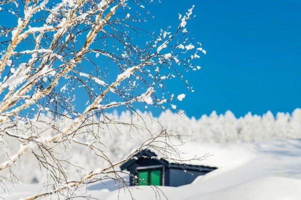 赞美冬天雪景的诗句