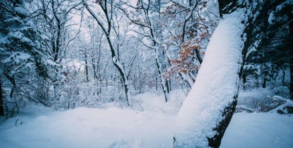 赞美冬天雪景的诗句