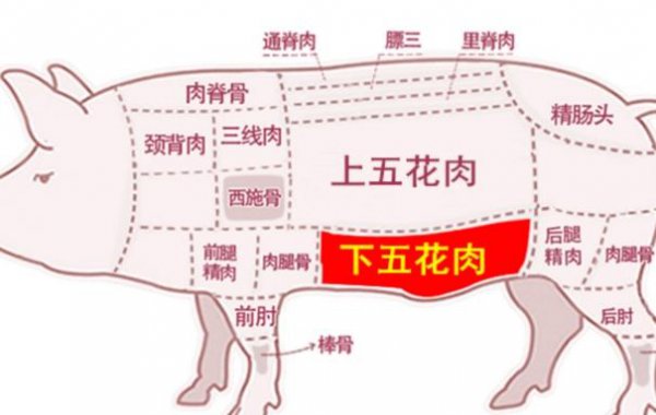 五花肉和三层肉有什么区别图片