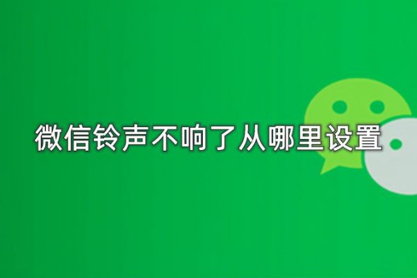 微信信息没有声音怎么设置