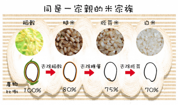 熟米饭放冰箱可以放几天还能吃吗