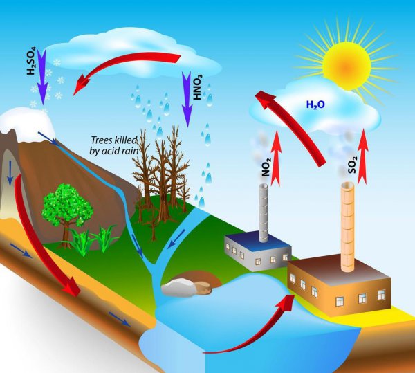 酸雨形成的原因