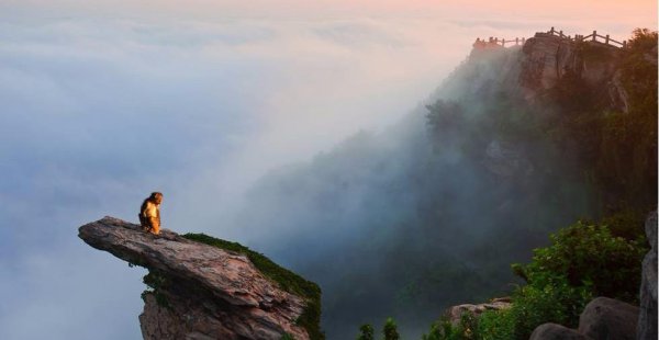 中国有几个花果山