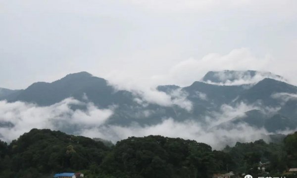 中国六大茶山是哪几个