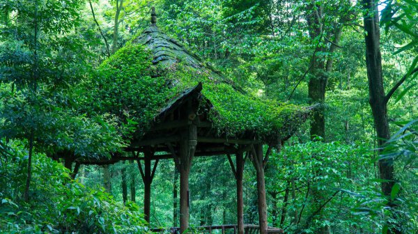 青城山属于成都地区吗