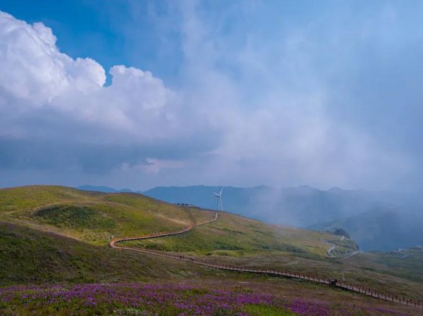 贵州毕节旅游景点有哪些地方