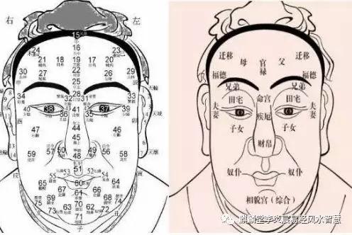 当官的面相图片