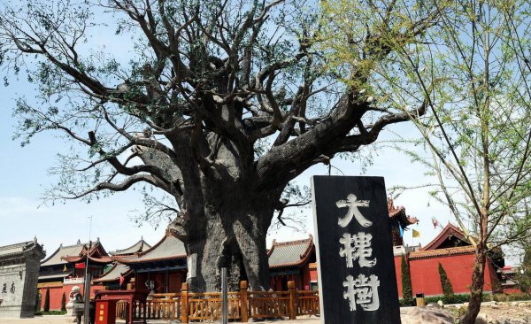 山西临汾旅游必去十大景点