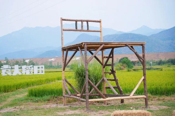 黄冈旅游景点有哪些景点