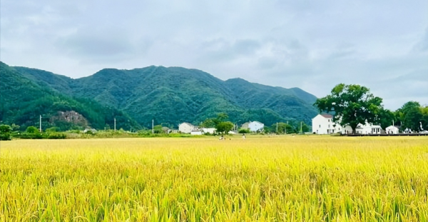 浙江三门县属于哪个市