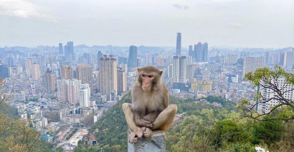 贵州贵阳旅游景点有哪些地方