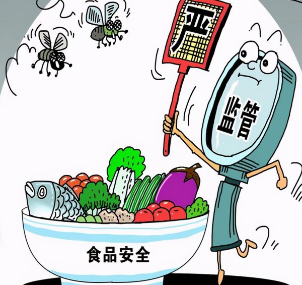 食品添加剂是什么意思