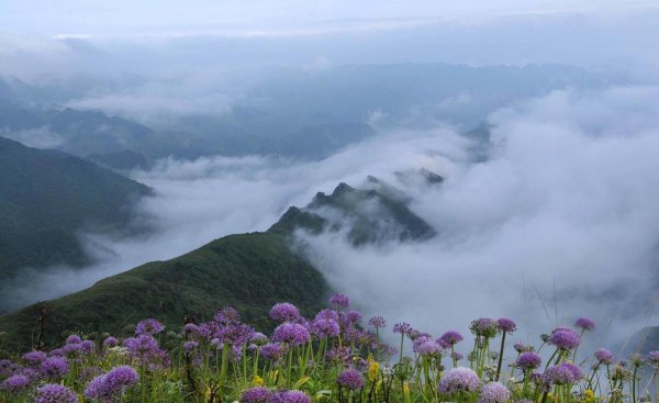 贵州有哪些景点