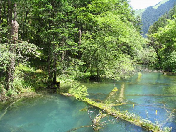 九寨沟是哪里的