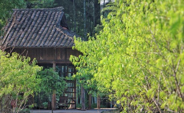 湖南常德旅游十大必去景区