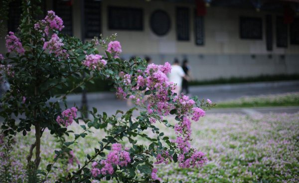 湖南常德旅游十大必去景区