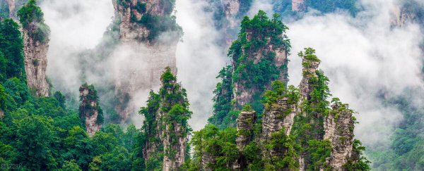 几月份去张家界玩好一点