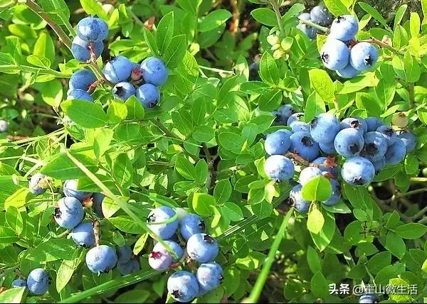 霍山一日游最佳路线