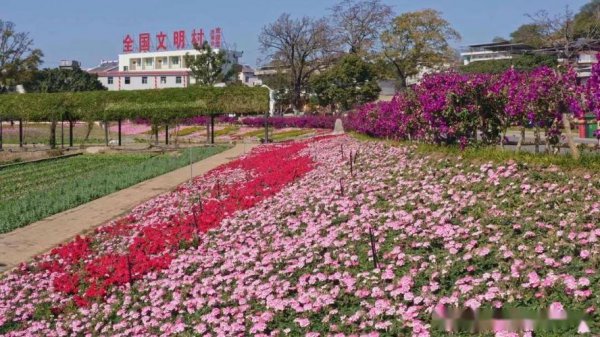 四川攀枝花十大旅游景点