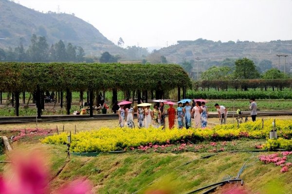 四川攀枝花十大旅游景点