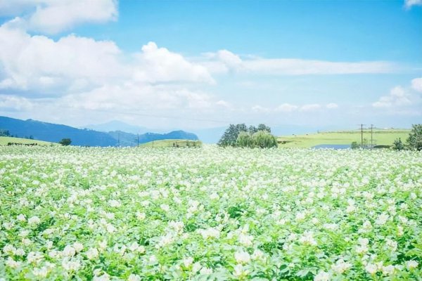 四川攀枝花十大旅游景点