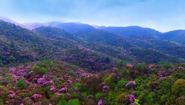 四川攀枝花十大旅游景点