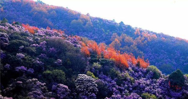 四川攀枝花十大旅游景点