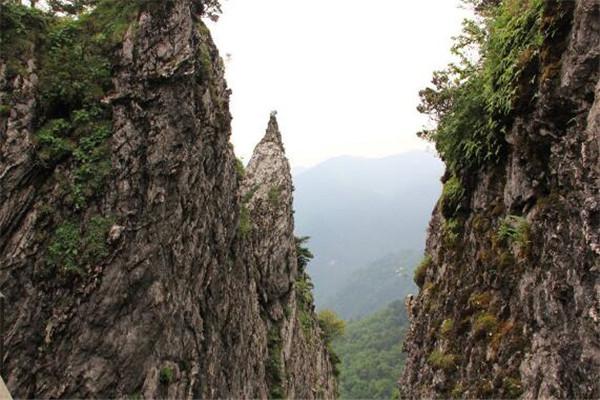 神农架景区有哪些主要景点