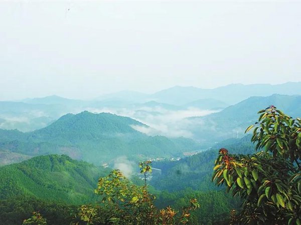 赣州附近有什么好玩的旅游景点