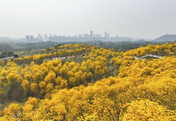 广西南宁旅游必去十大景点排名