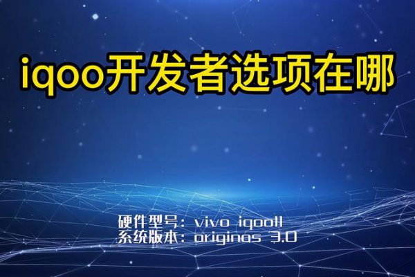 iqoo开发者模式怎么打开关闭