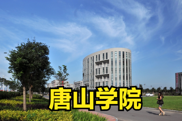 美术220文化350能上什么大学