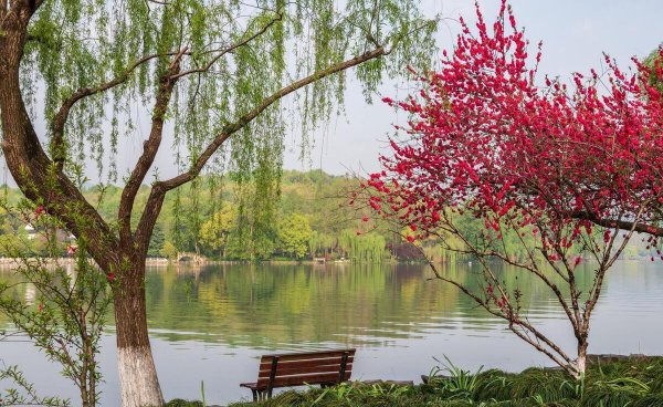 杭州西湖十大景点介绍