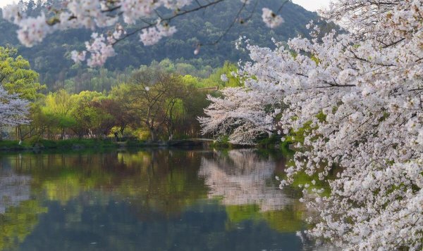 杭州西湖十大景点介绍