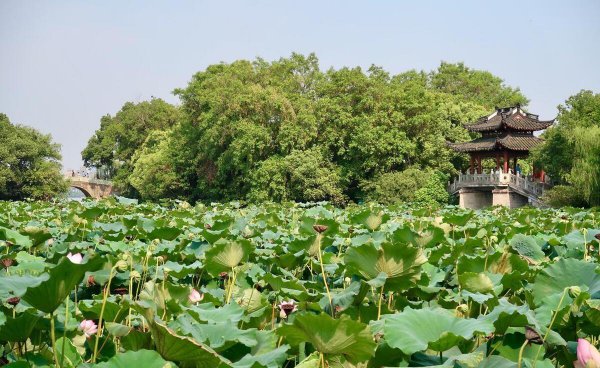 杭州西湖十大景点介绍